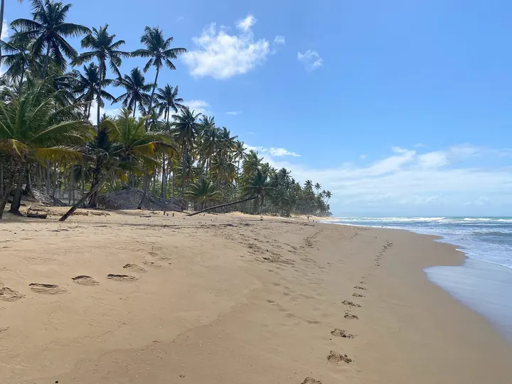 Playa Cosón, Samaná, Dominican Republic